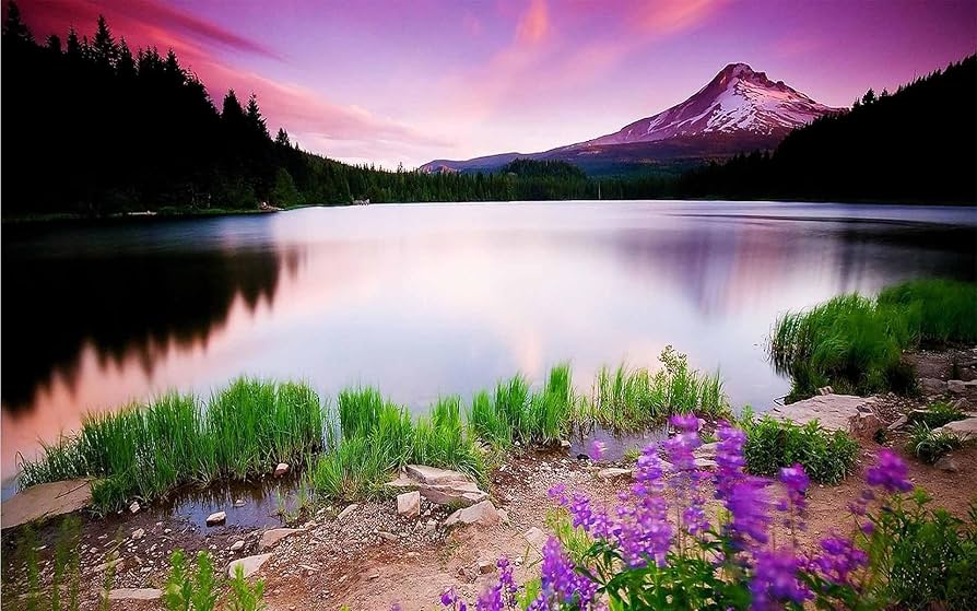 Flex Banner Printing